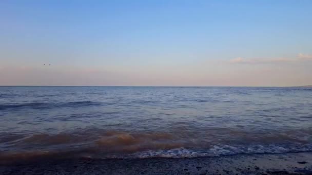 Small Breaking Waves Beautiful Beach Shore Morning Dalam Bahasa Inggris — Stok Video