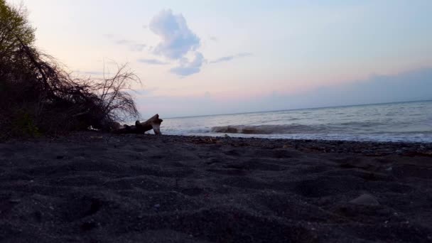 Kleine Brechende Wellen Schönen Strand Morgen Tagsüber Urlaub Küste Strand — Stockvideo