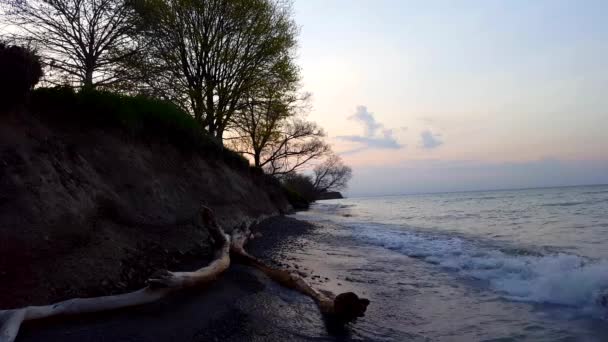 美丽的海滩海岸上的小破浪与飞鸟在早晨 白天假期海岸线海滩与鸟类动物野生动物在夏天在黎明 — 图库视频影像