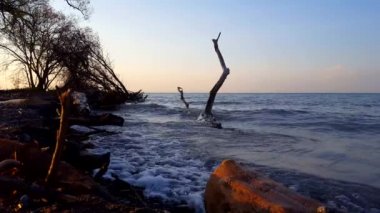 Sabah Kamera Doğru Splashing Beautiful Beach Shore Üzerinde Breaking Dalgalar. Erken Şafak'ta Yaz Aylarında Su Splash ile Gündüz Tatil Shoreline.