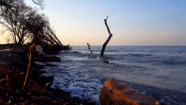 Breaking Waves Beautiful Beach Shore Splashing Camera Parte Manhã Daytime — Vídeo de Stock