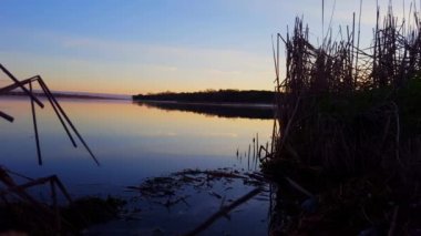 Yaz aylarında sakin gölün erken sabahı Dawn görünümü. Huzurlu Lakeside doğa.