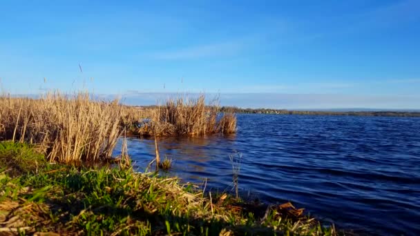 Mattina Presto Alba Veduta Del Lago Calma Estate Tranquillo Lakeside — Video Stock