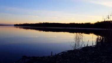 Kamera kaydırma Ile yaz aylarında sakin göl sabah erken gündoğumu görünümü. Şafak 'da sakin pastoral Lakeside Shore doğa manzara.