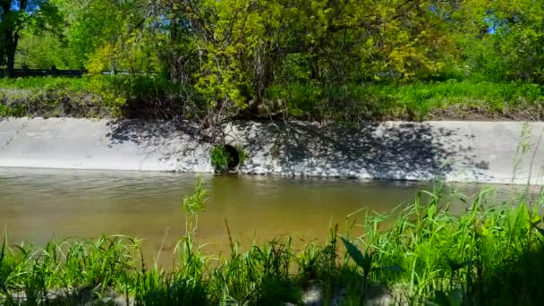 Concrete City River Calmly Flowing Sunny Day Inglés Caudal Agua — Vídeos de Stock