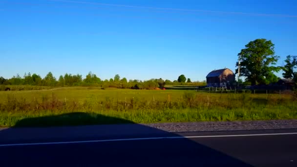 Vista Laterale Guidare Terreni Agricoli Rurali Giorno Punto Vista Del — Video Stock