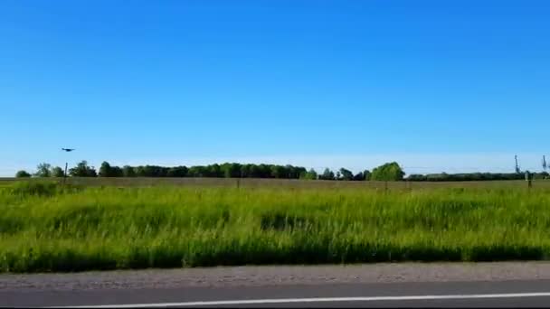 Seitenansicht Die Tagsüber Durch Ländliches Feld Fährt Fahrersicht Vorbei Landschaftlich — Stockvideo