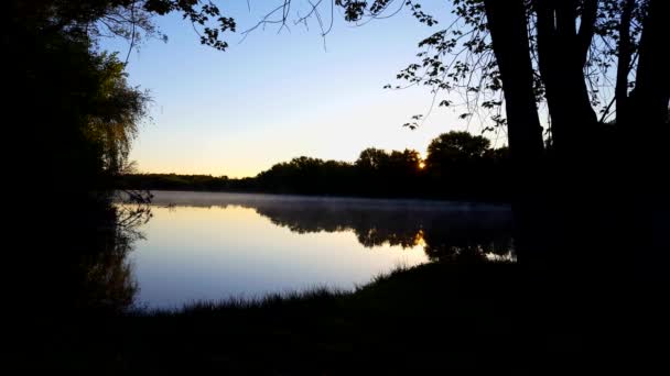 穏やかな流れる川と朝霧の上の地平線上の日の出 初夏の夜明けに森に囲まれた川の霧 — ストック動画
