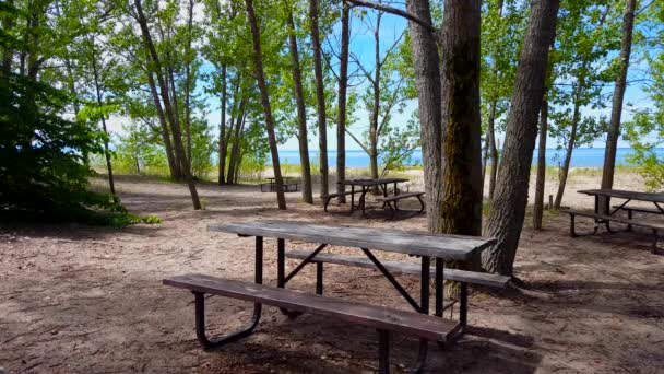 Plajda Öğle Piknik Alanında Güneşli Günden Itibaren Gölge Foreground Dinlenme — Stok video