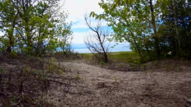 İnsanlar Yaz Günü boyunca Yemyeşil Ağaçlar ile Güzel Beach Shore Mesafe Kayak. Doğal Yeşil Doğa Yaprakları ile Kum Shoreline.