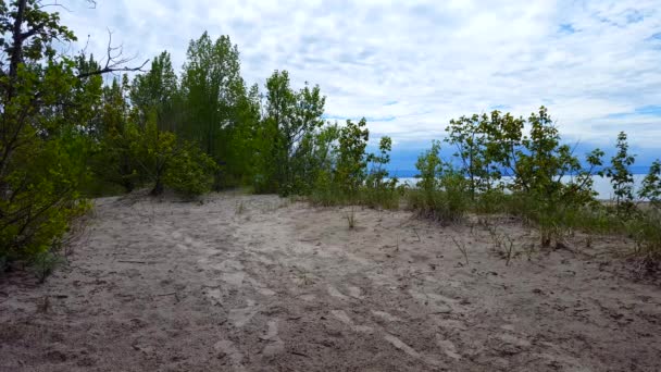 Praia Bonita Shore Com Árvores Verdes Exuberantes Durante Dia Verão — Vídeo de Stock