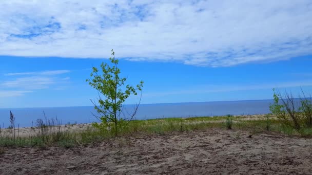 Cámara Pan Arena Hermosa Playa Agua Durante Soleado Día Verano — Vídeos de Stock