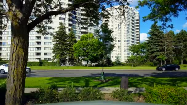 緑豊かな木々による市街地交通の側面図 日中の夏の車と都市景観 — ストック動画