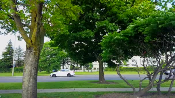Sidoutsikt Över Stadstrafik Körning Och Sakta Ner Frodiga Gröna Träd — Stockvideo