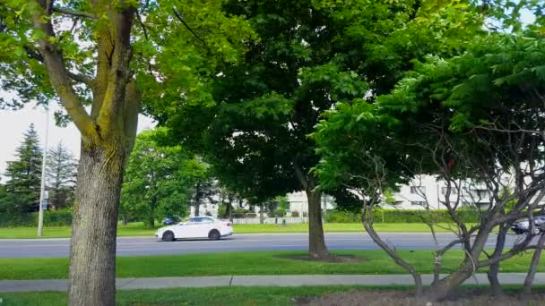 Vista Lateral Del Tráfico Ciudad Conducir Ralentizar Por Exuberantes Árboles — Vídeo de stock