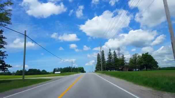 Jazda Wiejską Zielenią Podczas Jasnego Letniego Dnia Punkt Widzenia Kierowcy — Wideo stockowe