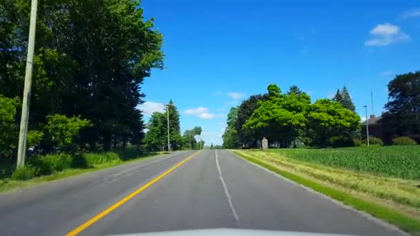Dirigir Campo Rural Durante Brilhante Dia Verão Ponto Vista Motorista — Vídeo de Stock