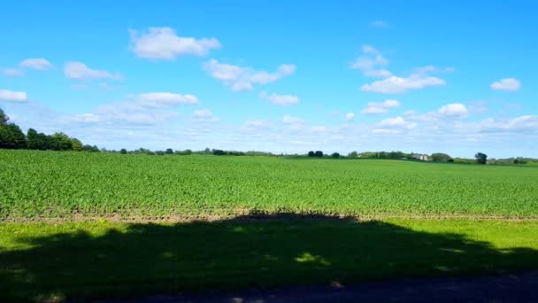 Kamera Pan Pięknej Bujnej Farmy Rolnej Liści Letni Dzień Wiejski — Wideo stockowe