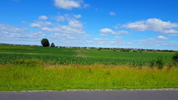 Cámara Pan Hermoso Follaje Granja Agrícola Exuberante Con Tráfico Casas — Vídeos de Stock