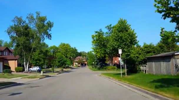 在夏季驾驶住宅城市道路与郁郁葱葱的树木 司机的观点波沿美丽的阳光郊区街 — 图库视频影像