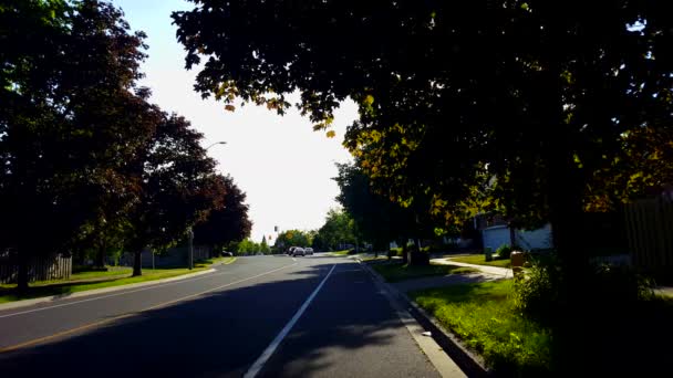 城市郊区交叉交通在夏季 城市景观与汽车车辆在白天通过道路交叉口行驶 — 图库视频影像