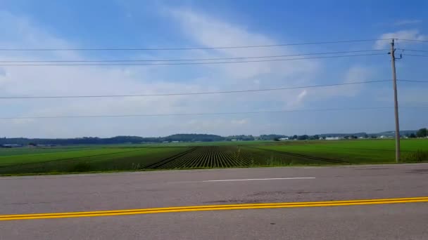 日中の農村農地でのサイドビュードライブ ドライバーの視点ポヴは 過去の田舎の農場の風景を駆動 — ストック動画