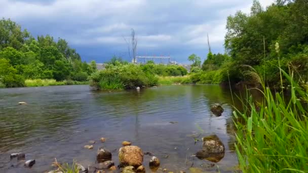 Piękna Płynąca Rzeka Ważki Pływające Nad Wodą Widok Brzegu Rzeki — Wideo stockowe