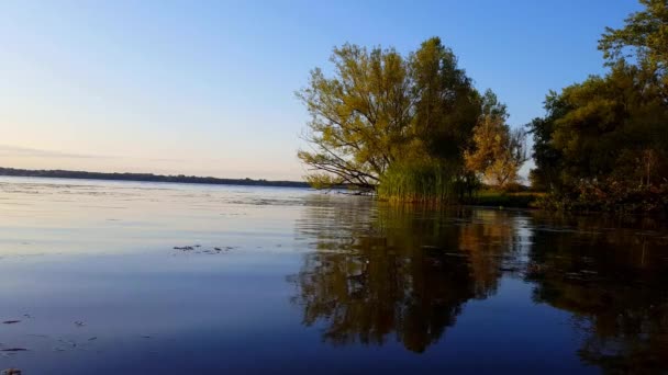 Hermosa Vista Del Estanque Tranquilo Agua Del Lago Verano Paisaje — Vídeos de Stock