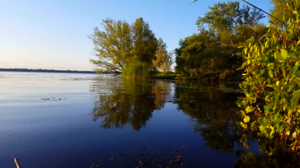 夏天平静池塘和湖水的美丽景色 宁静池塘风景和湖岸自然 — 图库视频影像