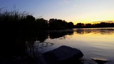 Yaz aylarında Sakin Gölet ve Göl Suyu Gün doğumu veya Günbatımı Görünümü. Erken Şafak veya Alacakaranlıkta Sakin Pastoral Doğa Manzara.