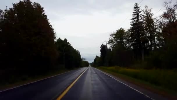 Körning Landsbygdens Landsbygd Våt Väg Mulet Molnigt Himmel Dag Driver — Stockvideo