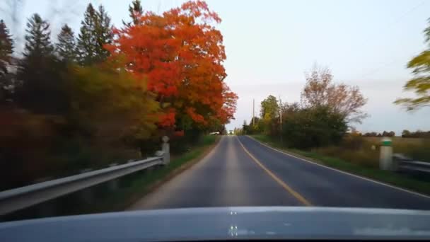 Vedere Din Spate Drumului Rural Conducere Auto Timpul Zilei Toamnă — Videoclip de stoc