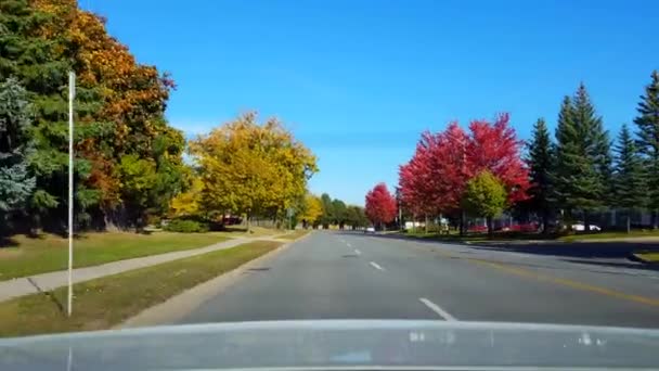 Vista Trasera Desde Parte Trasera Del Coche Conducir Largo Carretera — Vídeos de Stock