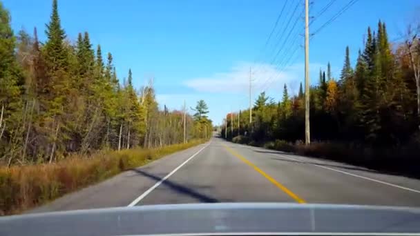 Rear View Back Car Driving Rural Forest Countryside Road Day — ストック動画