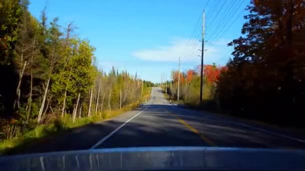 Hátsó Nézet Autó Vezetés Vidéki Vidéki Őszi Napon Car Point — Stock videók