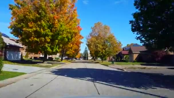 Vorstadt Wohnstraße Der Herbstsaison Tagsüber Befahren Autofahrer Herbst Auf Der — Stockvideo