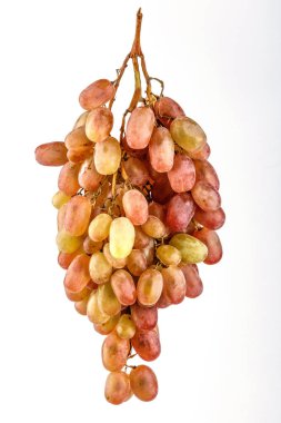 Grup Olgun varietal üzüm, şarap çeşitleri.