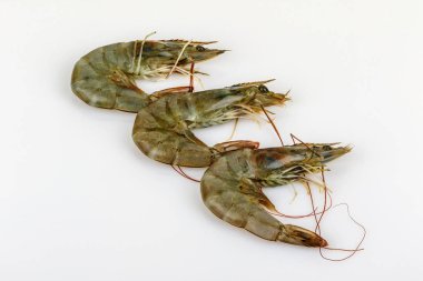 Deniz ürünleri, büyük karides, taze pişmiş değil.