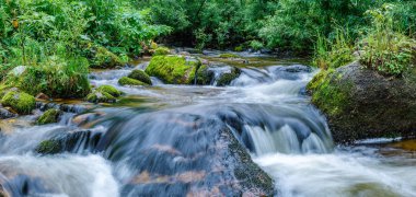 Dağ dere, hızlı akan su taşları arasında.