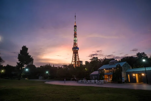Widok na wieżę Tokyo Tower z parku w okresie zmierzchu. Orientacja pozioma. — Zdjęcie stockowe