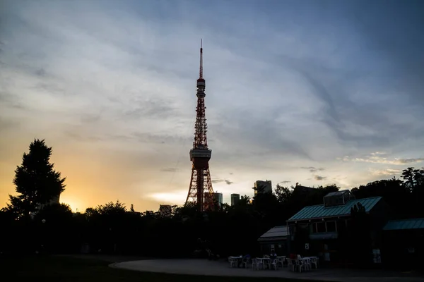 Widok na wieżę Tokyo Tower z parku podczas zachodu słońca. Orientacja pozioma. — Zdjęcie stockowe