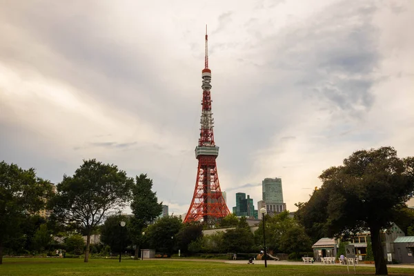 Widok na wieżę Tokyo Tower z parku wieczorem. Orientacja pozioma. — Zdjęcie stockowe