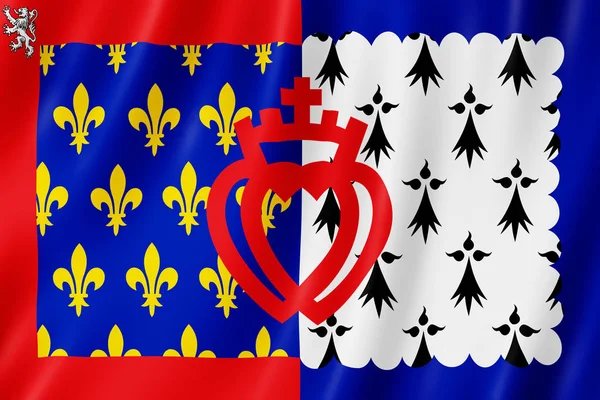 Flag Pays Loire France — Stock Photo, Image