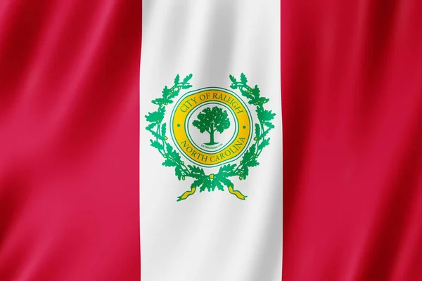 Bandeira Cidade Raleigh Carolina Norte Ilustração — Fotografia de Stock