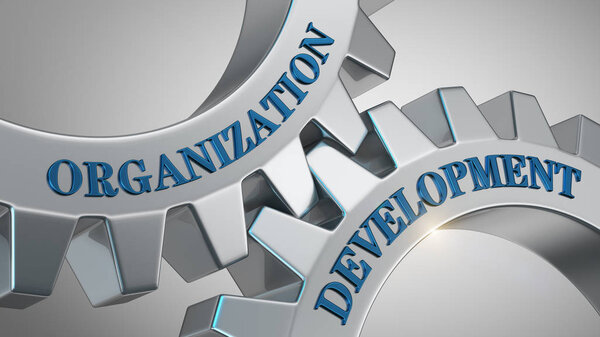 Концепция развития организации
