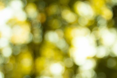 Soyut doğal açık renkli bokeh bulanıklık
