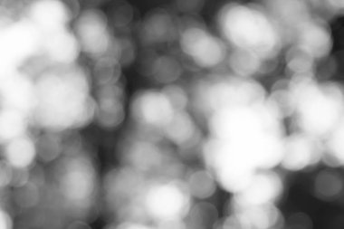 Soyut doğal açık renkli bokeh bulanıklık