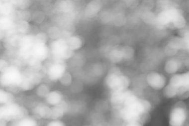 Soyut doğal açık renkli bokeh bulanıklık