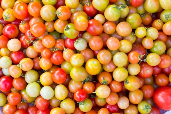 Rode Tomaten Achtergrond Groep Tomaten — Stockfoto