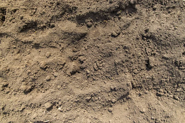 Dry Ground Texture Top View Dry Soil Garden Concept Drought — Stock Photo, Image